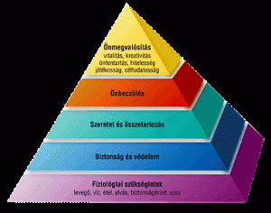 maslow_piramis3